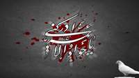 شهادت امام جواد (ع) تسلیت باد